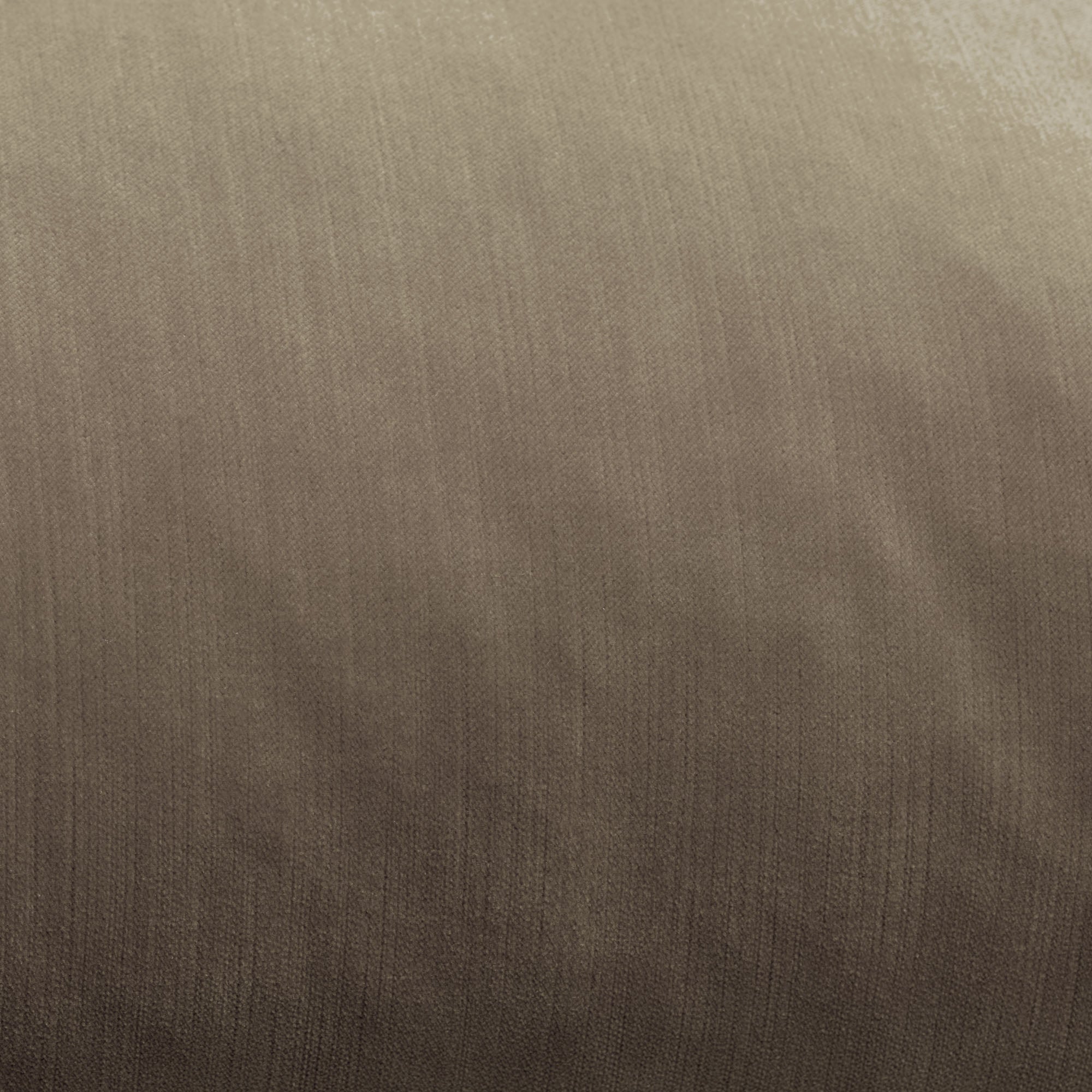 Echantillon DALILA beige chic