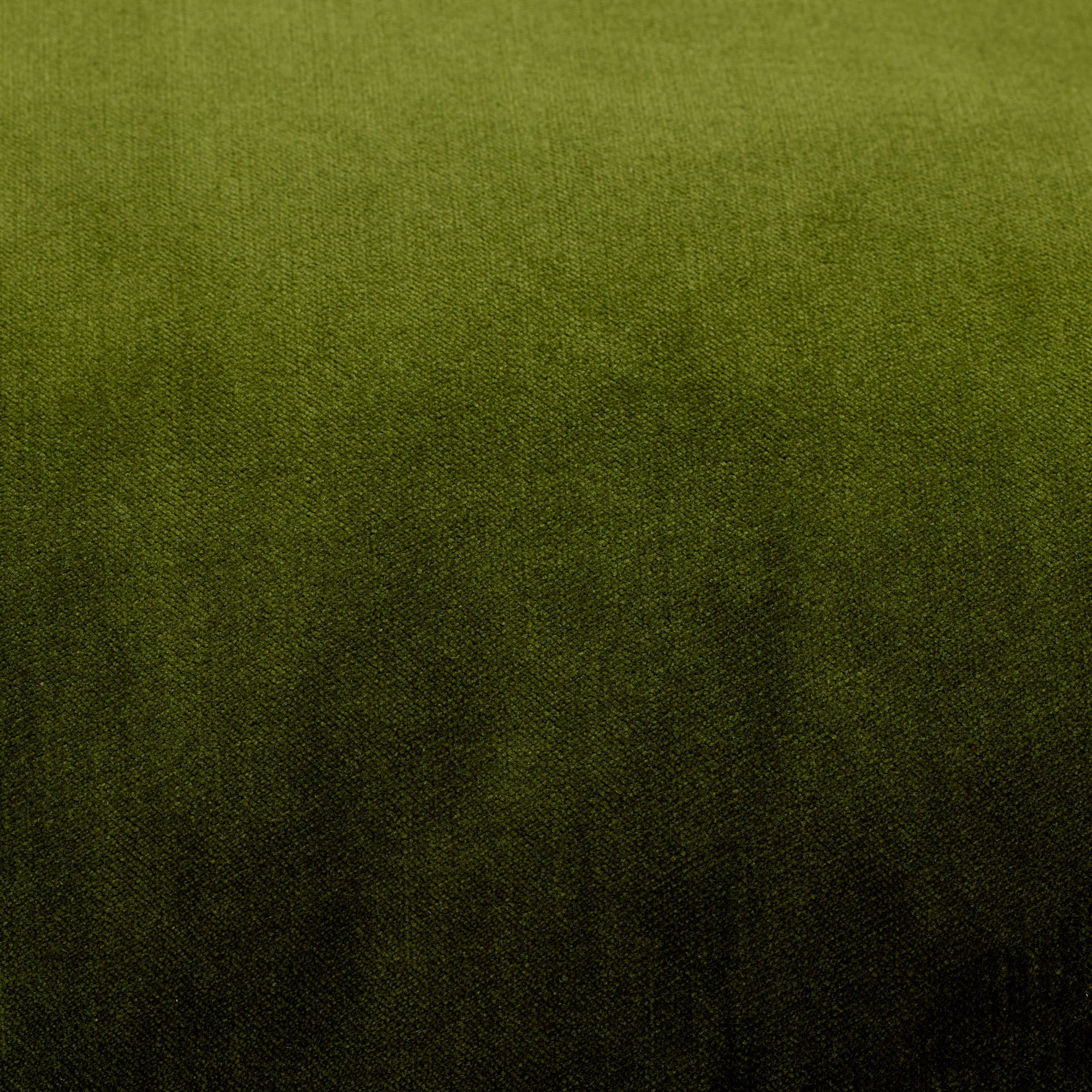 Echantillon DALILA vert olive