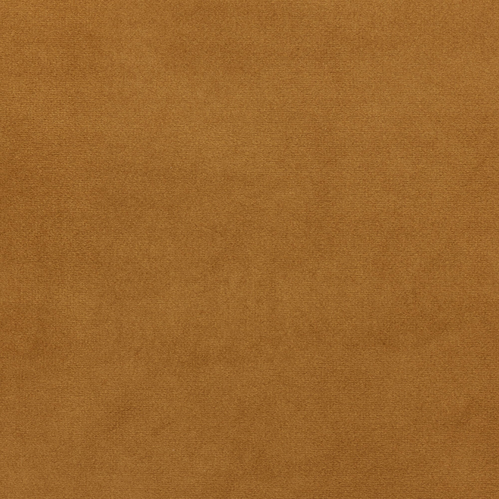 Echantillon CESARE velours jaune moutarde