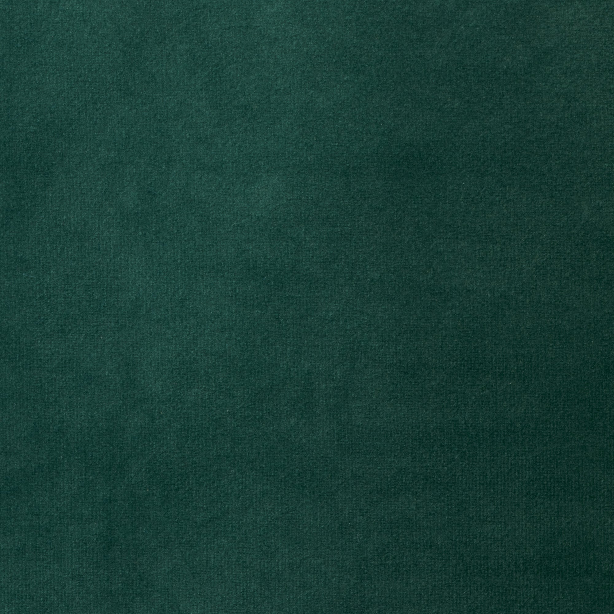 Echantillon CESARE velours vert pin