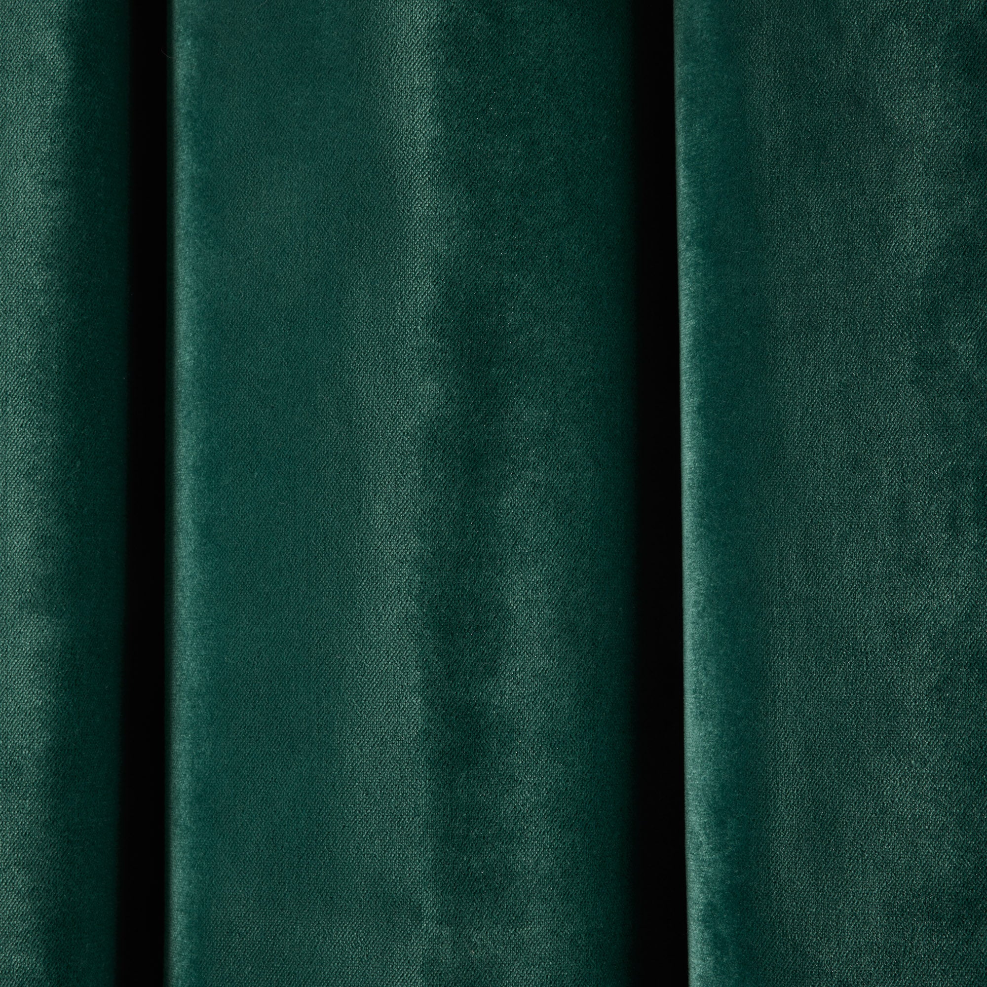 Rideau à oeillets noirs DARIO mélèze et bourdon noir