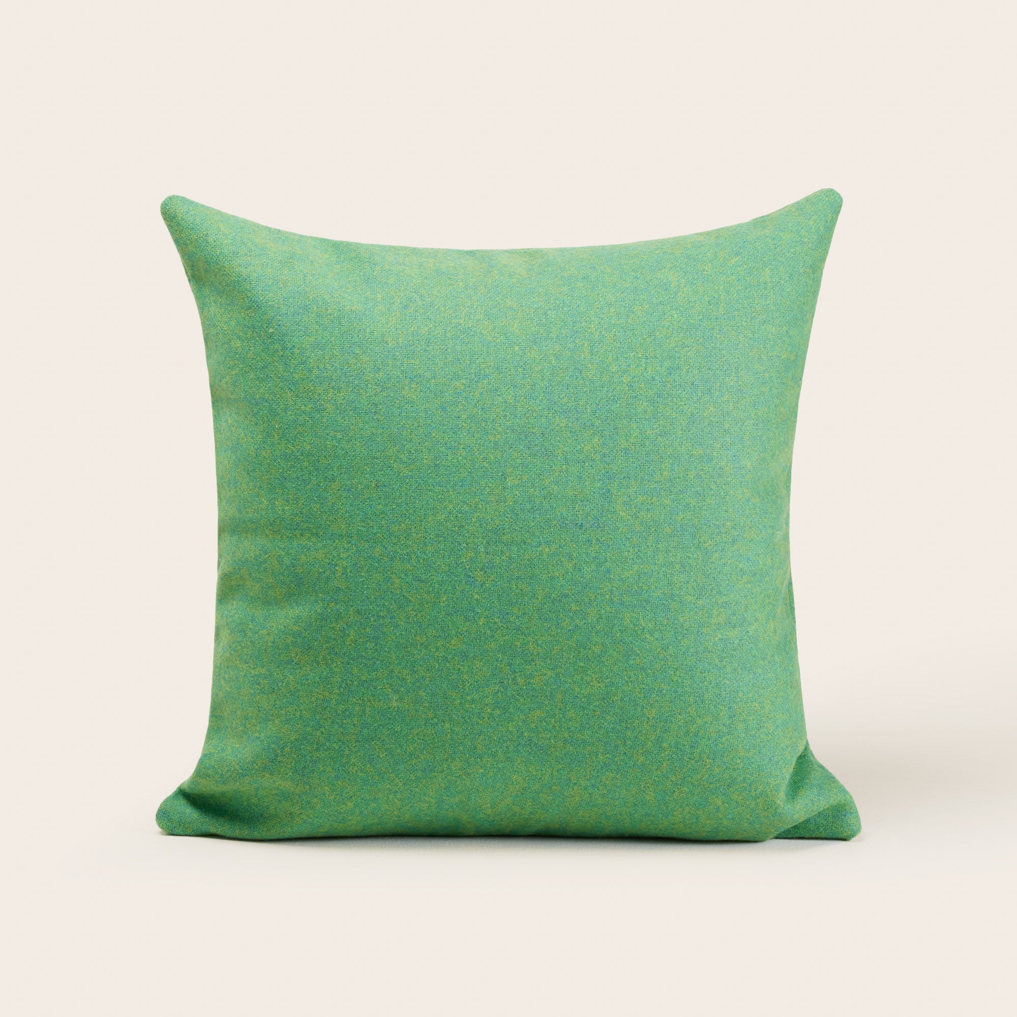 Marcelo mint green cushion cover Madura1